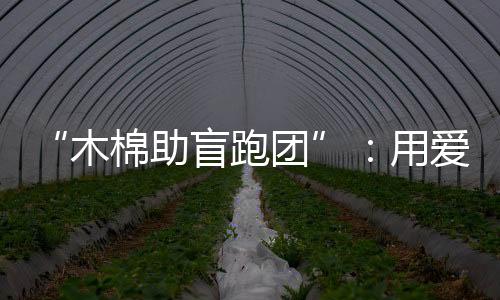 “木棉助盲跑團(tuán)”：用愛陪視障跑者奔赴漢馬賽場(chǎng)