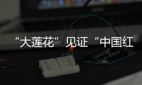 “大蓮花”見證“中國紅” “絲滑”散場顯溫度