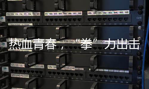 熱血青春，“拳”力出擊 江泰天宇功夫集市青少年搏擊擂臺賽圓滿落幕