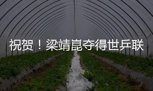 祝賀！梁靖崑奪得世乒聯(lián)冠軍賽韓國站男單冠軍