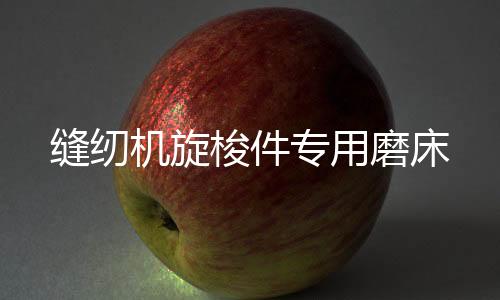 縫紉機旋梭件專用磨床