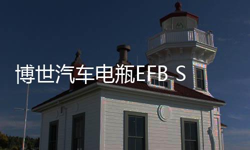 博世汽車電瓶EFB S95L適用豐田新漢蘭達凱美瑞雅力士免維護蓄電池