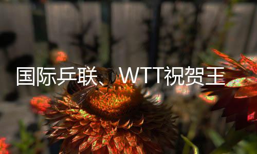 國際乒聯(lián)、WTT祝賀王勵勤當選中國乒協(xié)主席 向劉國梁致謝