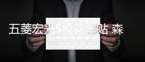 五菱宏光S拉花車貼 森雅M80榮光面包車拉花 宏光車身腰線貼