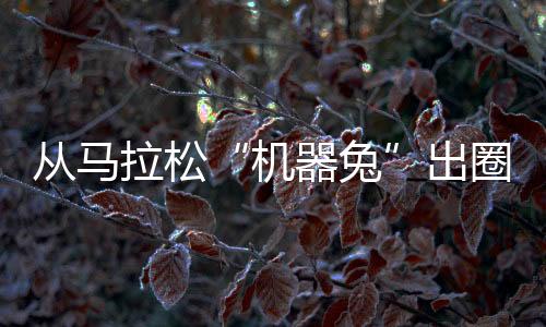 從馬拉松“機(jī)器兔”出圈 洞見(jiàn)中國(guó)體育科技新活力