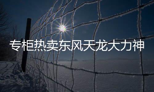 專柜熱賣東風天龍大力神天錦汽車貨車駕駛室座椅彈簧海綿坐墊總成