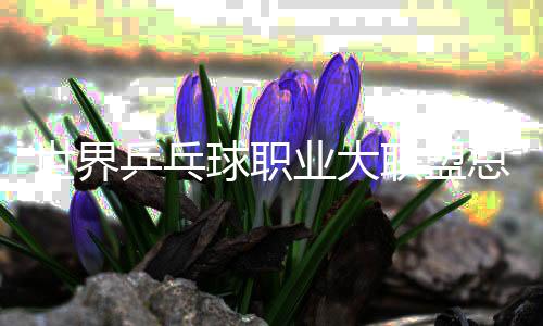 世界乒乓球職業(yè)大聯(lián)盟總決賽2025將于12月在香港舉行