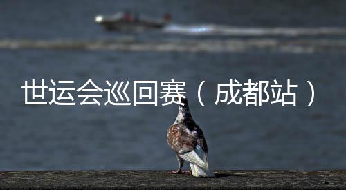 世運(yùn)會巡回賽（成都站）收官 IWGA主席：成都已經(jīng)準(zhǔn)備好了