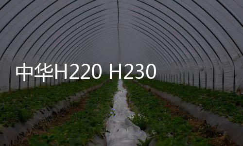 中華H220 H230專用中控儀表臺避光墊汽車裝飾改裝配件防曬遮光墊