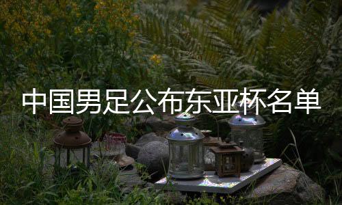 中國男足公布東亞杯名單 新周期顯現(xiàn)年輕化進(jìn)程