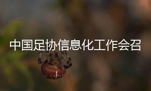 中國(guó)足協(xié)信息化工作會(huì)召開 努力實(shí)現(xiàn)“全國(guó)一盤棋”治理