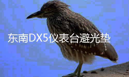 東南DX5儀表臺(tái)避光墊汽車內(nèi)飾裝飾用品配件中控臺(tái)改裝防滑防曬墊