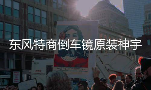 東風(fēng)特商倒車鏡原裝神宇擎宇三環(huán)大運(yùn)風(fēng)度倒車鏡汽車反光鏡后視鏡