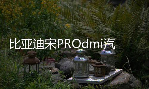 比亞迪宋PROdmi汽車專用隔板裝飾隔物板收納配件儲(chǔ)物尾箱