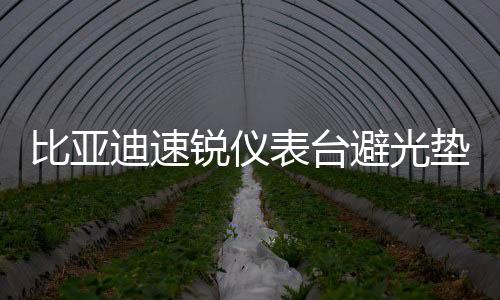 比亞迪速銳儀表臺避光墊汽車內(nèi)飾裝飾用品配件中控臺改裝防曬墊