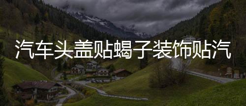 汽車(chē)頭蓋貼蝎子裝飾貼汽車(chē)貼紙機(jī)蓋貼拉花蝎子改裝刮痕車(chē)身貼紙