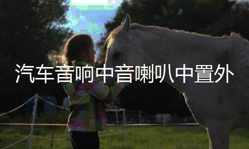 汽車音響中音喇叭中置外置家用環(huán)繞前后雙喇叭2.5寸中音喇叭改裝