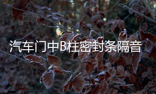 汽車門中B柱密封條隔音降噪橡膠條卡槽縫隙條防水通用加改裝配件