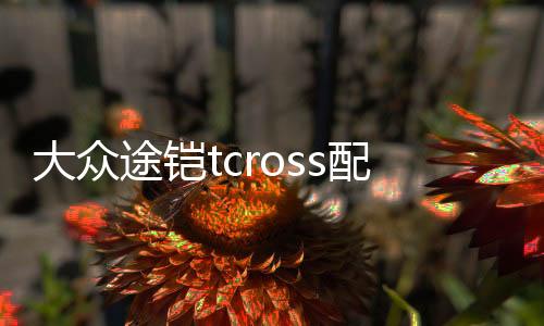 大眾途鎧tcross配件裝飾用品汽車改裝后門防護貼后備箱尾箱后護板