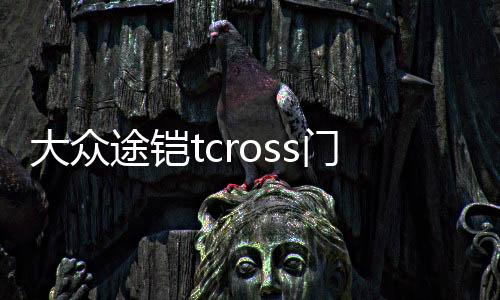 大眾途鎧tcross門(mén)槽墊途凱裝飾汽車用品車內(nèi)改裝內(nèi)飾配件愷水杯墊