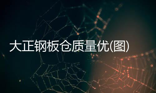 全自動(dòng)電動(dòng)伸縮大門公司