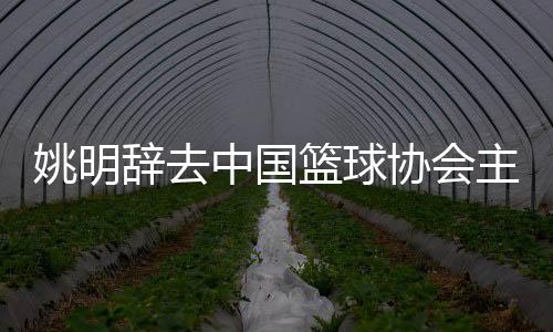 姚明辭去中國(guó)籃球協(xié)會(huì)主席職務(wù) 郭振明接任