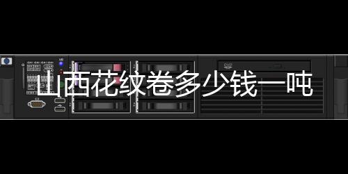 華為多功能智真RP100