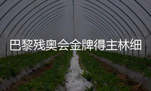 巴黎殘奧會(huì)金牌得主林細(xì)妹、麥建朋談奪冠感想 盼未來(lái)再創(chuàng)佳績(jī)