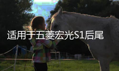 適用于五菱宏光S1后尾燈總成S3后組合燈剎車燈尊享款倒車燈