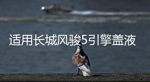 適用長城風駿5引擎蓋液壓桿改裝風駿6/7 c50 M4炫麗C30 H3 H5支撐