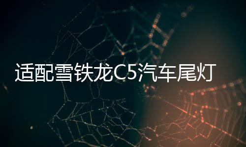 適配雪鐵龍C5汽車(chē)尾燈裝飾板 裝飾罩 左邊導(dǎo)水板后大燈副駕駛配件