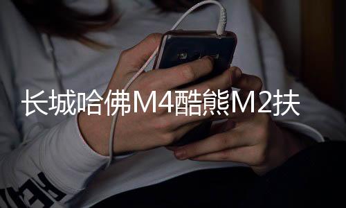 長城哈佛M4酷熊M2扶手箱專用哈弗汽車中央手扶箱內(nèi)飾改裝配件