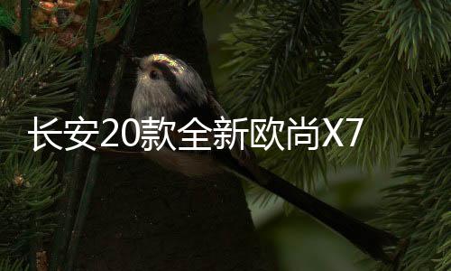 長(zhǎng)安20款全新歐尚X70A避光墊汽車中控儀表臺(tái)防曬墊遮陽(yáng)改裝飾配件