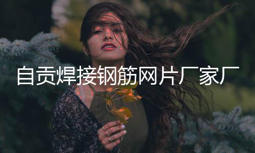 自貢焊接鋼筋網(wǎng)片廠家廠商