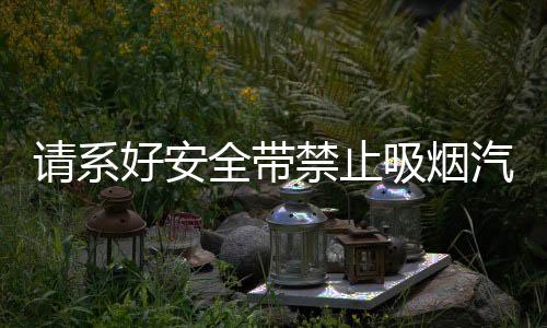 請系好安全帶禁止吸煙汽車貼紙車內(nèi)警示提示帶隨意創(chuàng)意裝飾車貼紙