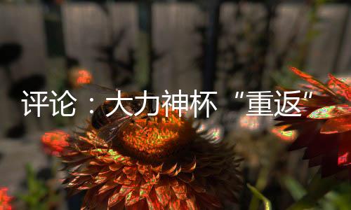 評論：大力神杯“重返”中國，中國男足何時重返世界杯？