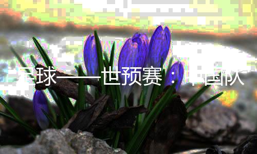 足球——世預賽:中國隊舉行新聞發(fā)布會并進行賽前訓練