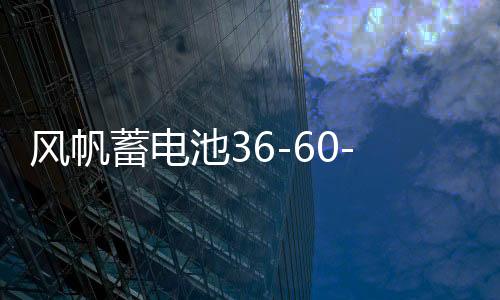風(fēng)帆蓄電池36-60-70-80-110AH原裝汽車電瓶 各種車型北京上門安裝