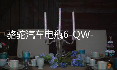 駱駝汽車電瓶6-QW-45適配雅閣本田CRV鋒范杰德繽智12V45AH蓄電池