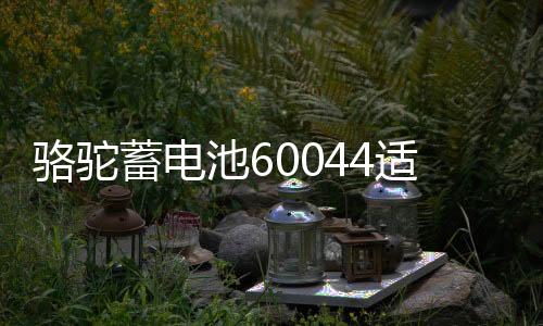 駱駝蓄電池60044適用路虎攬勝寶馬7系奔馳S級12V100AH汽車電瓶