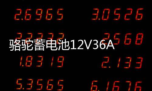 駱駝蓄電池12V36AH汽車電瓶適配鈴木奧拓鋒范背機(jī)旋耕機(jī)三輪車1DF