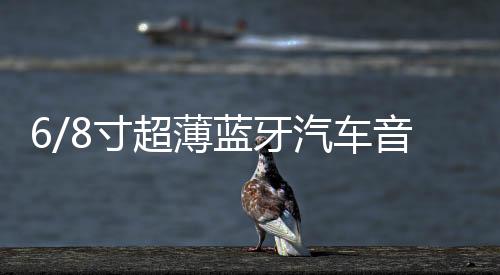 6/8寸超薄藍牙汽車音響12V24V貨車重低音大功率改裝車載低音炮