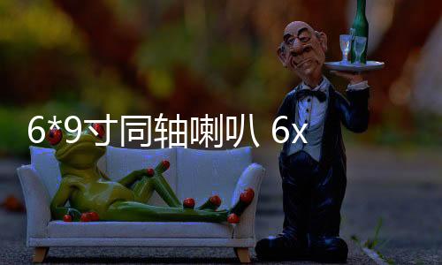 6*9寸同軸喇叭 6x9汽車音響 車載喇叭 汽車喇叭全頻重低音橢圓形