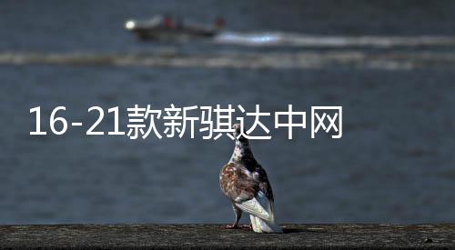 16-21款新騏達中網(wǎng)外觀改裝配件2021前臉專用裝飾水箱防蟲網(wǎng)用品