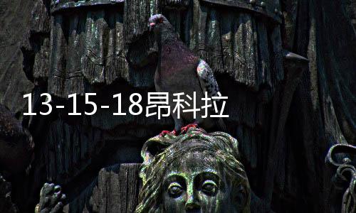 13-15-18昂科拉前后杠裝飾護(hù)杠改裝昂克威保險(xiǎn)腳踏板護(hù)板配件包圍