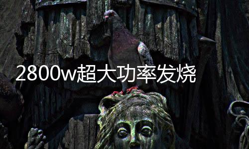 2800w超大功率發(fā)燒級炸街重低音純低音車載無源雙音圈低音炮功放